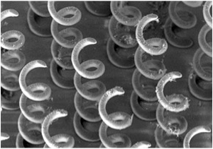 3D Micro/nano-fabrication